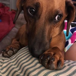 Meet your Posher, Jackie